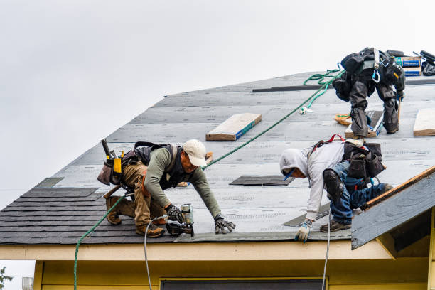 Professional Roof Repair technician working in Bidwell, OH